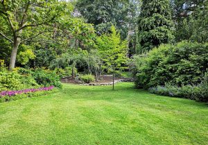 Optimiser l'expérience du jardin à Ermenonville